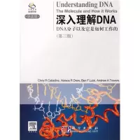 11深入理解DNA(第三版)978703018213522