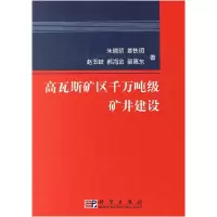 11高瓦斯矿区千万吨级矿井建设978703017643122