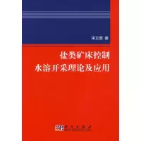 11盐类矿床控制水溶开采理978703018665222