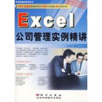 11Excel公司管理实例精讲(含1CD)978703018437522