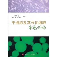 11干细胞及其分化细胞彩色图谱978703031971522