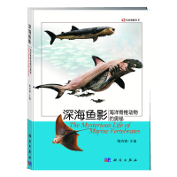 11深海鱼影:海洋脊椎动物的奥秘(预计8.30到货)9787030352484
