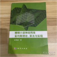 11模糊小波神经网络盲均衡理论.算法与实现978703033363622