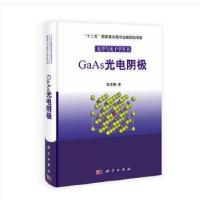 11GaAs光电阴极978703035696322