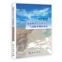 11雾霾和沙尘污染天气气溶胶单颗粒研究-中英双语版9787030364388