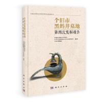 11个旧市黑蚂井墓地第四次发掘报告978703037351922