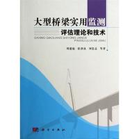 11大型桥梁实用监测评估理论和技术978703040241722