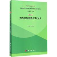 11先进清洁煤燃烧与气化技术978703040336022