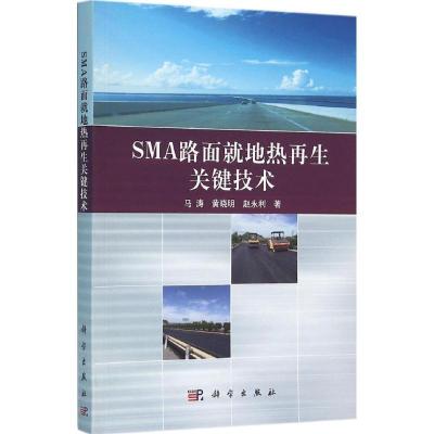 11SMA路面就地热再生关键技术978703046412522