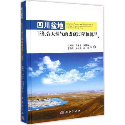 11四川盆地下组合天然气的成藏过程和机理978703042872122