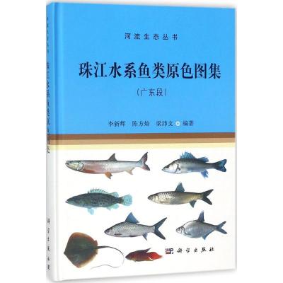 11珠江水系鱼类原色图集(广东段)978703056325522