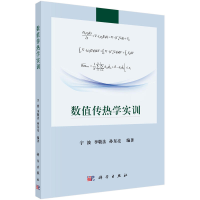 11数值传热学实训978703058040522