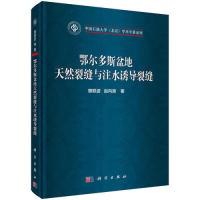 11鄂尔多斯盆地天然裂缝与注水诱导裂缝978703061777422