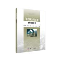 11通透肋式隧道修建技术978703061944022