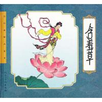 11含羞草978710203523922