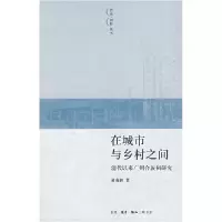 11在城市与乡村之间:清代以来广州合族祠研究978710802885322