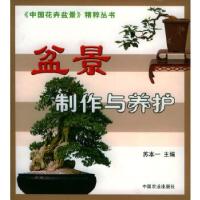 11盆景制作与养护/中国花卉盆景精粹丛书978710908910522