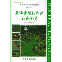 11草坪建植与养护彩色图说978710907132222