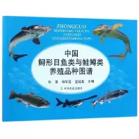 11中国鲟形目鱼类与鲑鳟类养殖品种图谱978710923355322
