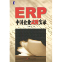 11ERP中国企业成败实录978711113411422