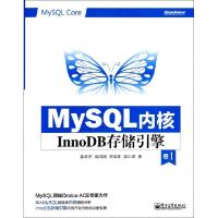 11MySQL内核(InnoDB存储引擎卷1)978712122908422