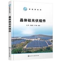 11晶体硅光伏组件978712233329222