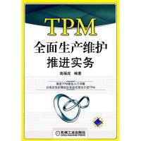 11TPM全面生产维护推进实务978711126315922