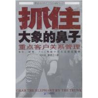 11抓住大象的鼻子:重点客户关系管理978780147993822