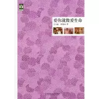 11爱你就像爱生命978756404166322