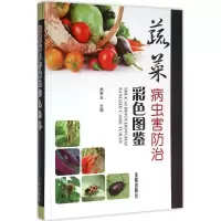 11蔬菜病虫害防治彩色图鉴978751860775422