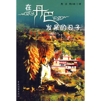 11在丹巴发呆的日子9787503239502LL