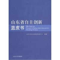11山东省自主创新蓝皮书9787560739885LL