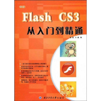 11中文FlashCS3从入门到精通9787561225066LL