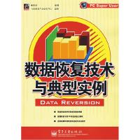 11数据恢复技术与典型实例9787121041594LL