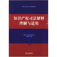 11知识产权司法解释理解与适用9787503699979LL