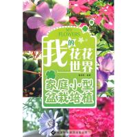 11我的花花世界-家庭小型盆栽培植9787543319851LL