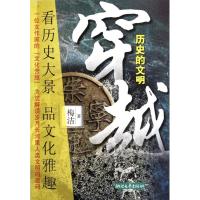 11穿越历史的文明9787533932534LL