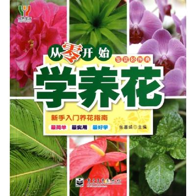 11从零开始学养花(新手入门养花指南)/鉴赏轻图典9787121157219LL