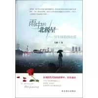 11雨中的北极星:新加坡推销生涯9787540227555LL