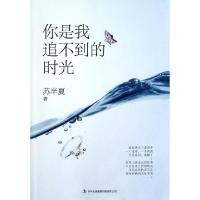 11你是我追不到的时光9787553440552LL