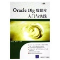 11Oracle10g数据库入门与实践9787302120247LL