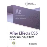 11After Effects CS5影视特效制作标准教程9787512311398LL