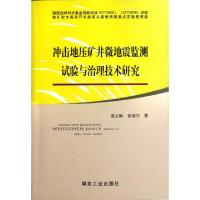 11冲击地压矿井微地震监测试验与治理技术研究9787502039417LL