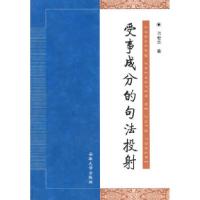 11受事成分的句法投射9787811106886LL