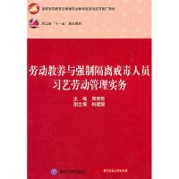 11劳动教养与强制隔离戒毒人员习艺劳动管理实务9787560969596LL