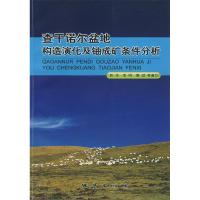 11查干诺尔盆地构造演化及铀成矿条件分析9787116039858LL