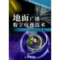 11地面广播数字电视技术——走近数字电视丛书9787115115522LL