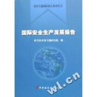 11国际安全生产发展报告/国外专题调研报告系列丛书9787502353599