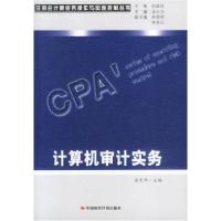 11计算机审计实务9787801692702LL