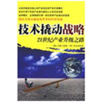 11技术撬动战略—21世纪产业升级之路9787301148105LL